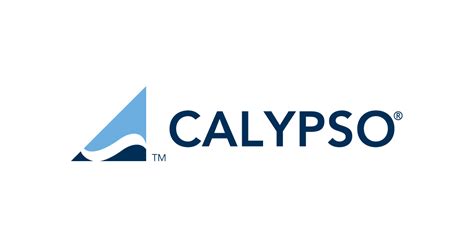 Calypso Technology Welcomes Didier Bouillard As Ceo Business Wire