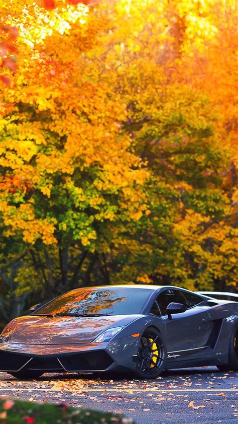 cars lamborghini autumn gallardo wallpapers sports cars