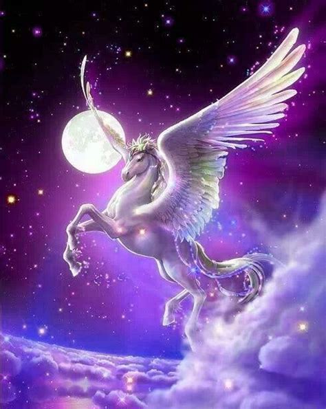 purple pegasus unicorn pictures unicorn wallpaper mythical creatures