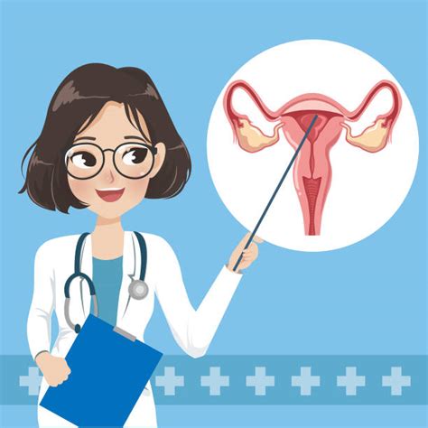 Reproductive Health Illustrations Illustrations Royalty