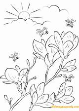 Coloring Spring Pages Branches Flowering Bloom Kids Printable Adults Puzzle Drawing sketch template