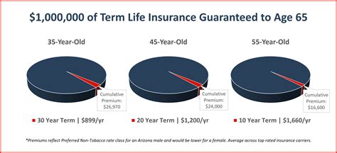 insuring  economic   term life insurance risk resource