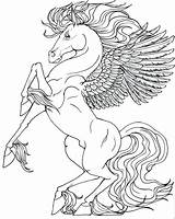 Coloring Pegasus Pages Horse Realistic Unicorn Printable Unicorns Colouring Kids Funny Pony Little Drawings Color Adult Print Getcolorings Books Board sketch template