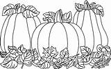 Pumpkin Clipart Fall Autumn Harvest Patch Clip Halloween October Trees Coloring Tree Time Cliparts Pumpkins Drawings Printable Cartoon Pages Season sketch template