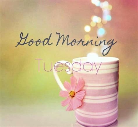 good morning tuesday pictures   images  facebook tumblr