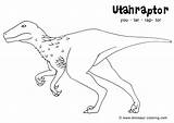 Coloring Velociraptor Pages Blue Dinosaur Printable Toronto Jay Utahraptor Getcolorings Getdrawings Colorings sketch template