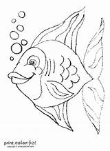 Fish Coloring Color Fun sketch template