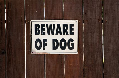 beware  dog sign  brown fence  stock photo public domain pictures