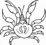 Crab Coloring Hard Printable Pages Coloringbay sketch template