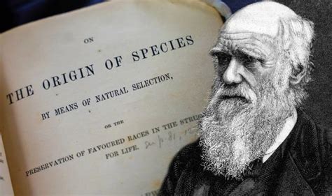 darwins theory  evolution proof student confirms darwins theory