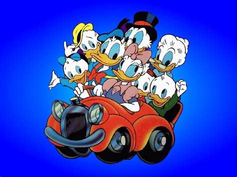 characters  donald duck cartoon driving car duck family hd wallpaper