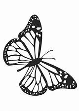 Mariposa Mariposas Vlinder Farfalla Disegno Schmetterling Colorare Educima Papillon Educolor Coloriage Schulbilder Educol Schoolplaten Borboletas Edupics sketch template