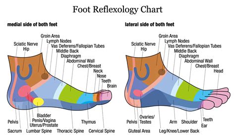 Simple Reflexology Foot Map Derval Ingleton