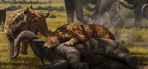 prehistoric predators  large animals  check shaped ecosystems