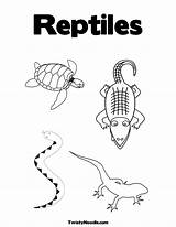 Reptiles Preschool Reptile Twistynoodle sketch template