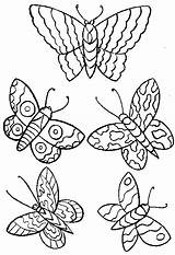 Farfalle Mariposas Stampare sketch template