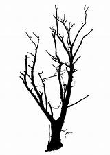 Tree Dead sketch template