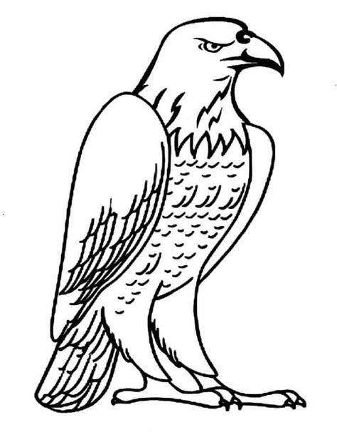 pin  animal coloring pages
