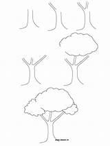 Tree Draw Step Drawing Simple Easy Trees Sketch Drawings Guides Beginners Kids Steps Coloring Boredart Basic Top Arbre Sketches Dessin sketch template