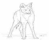Wolf Coloring Pages Printable Maned Adult Reddish Book Info sketch template