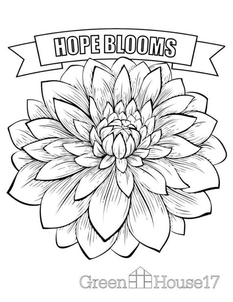 ideas  coloring easy coloring pages  seniors