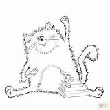 Cat Coloring Calico Pages Tabby Getcolorings Getdrawings sketch template