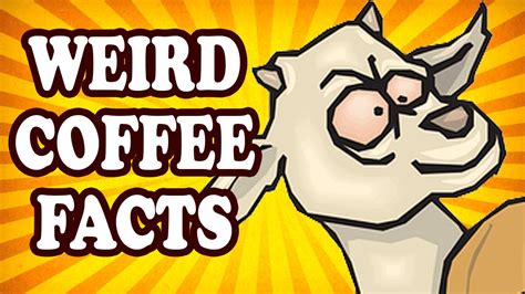 top 10 weird facts about coffee — toptenznet youtube