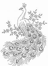 Peacock Peacocks Name sketch template