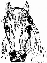 Horse Coloring Face Pages Printable Gif Colouring Horses Adult Print Head Both Choose Board Educational Fun Most Sheets sketch template