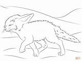 Fennec Fox Coloring Cute Pages Drawing Color Walks Foxes Drawings Print Dot Crafts sketch template