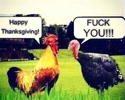 what did the rooster say to the turkey on thanksgiving lmao funny
