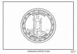 Virginia Flag Coloring State Pages Printable Flags Color Drawing Designlooter Popular 1440 1020px 97kb sketch template