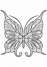 Coloring Butterfly Adult Pages Adults Choose Board Color Mandala Flower sketch template