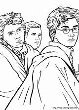 Potter Harry Coloring Pages Voldemort Getcolorings Colorin sketch template