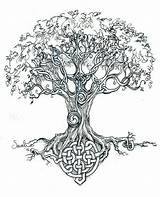 Tree Celtic Life Drawing Getdrawings sketch template
