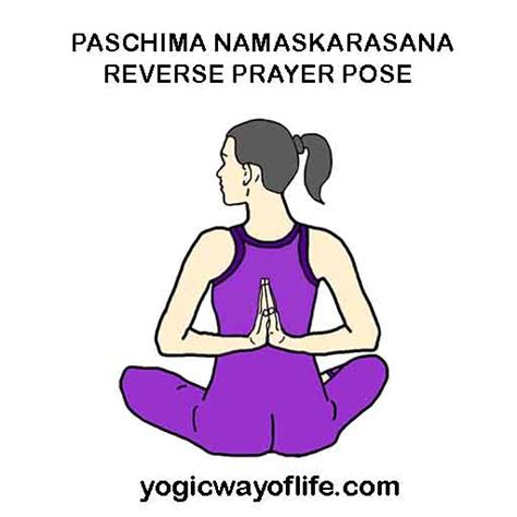 paschima namaskarasana reverse prayer pose