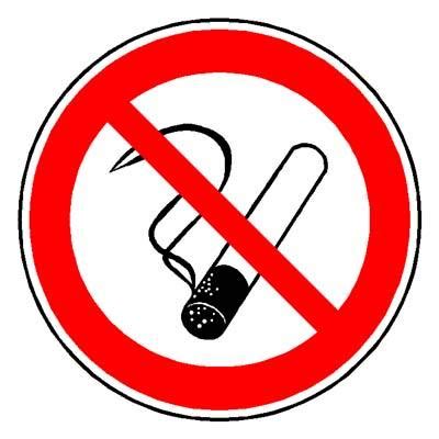 rauchverbot warum nicht punkt ostfriesland lesen