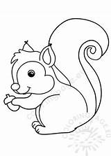 Squirrel Acorn Holding Outline Coloring sketch template