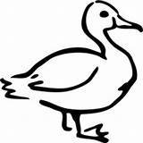 Duck Chicken Coloring Surfnetkids Pages Next sketch template