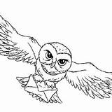 Owl Hedwig Getdrawings Hogwarts sketch template