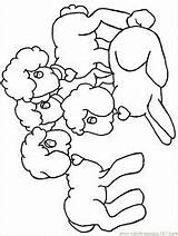 Precious Lamb sketch template