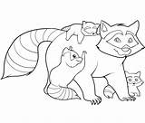 Coloring Raccoon Pages Kids Printable Family Racoon Colouring Raccoons Sheet Bestcoloringpagesforkids Print Sheets Animal Adult Woodland Printables Draw Toddler Forest sketch template