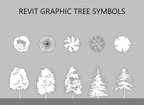 tree graphic symbols revit family collection  model cgtrader