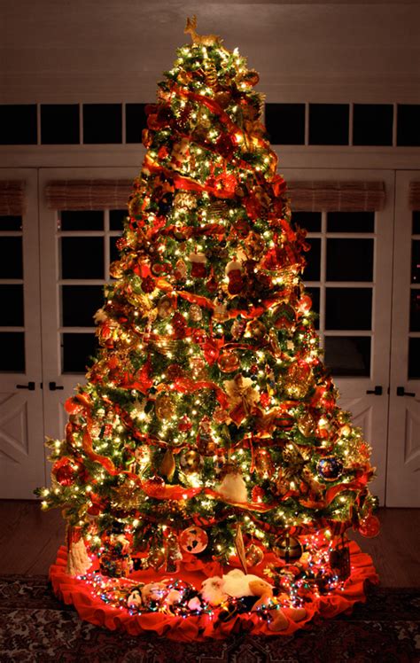 christmas tree    blog