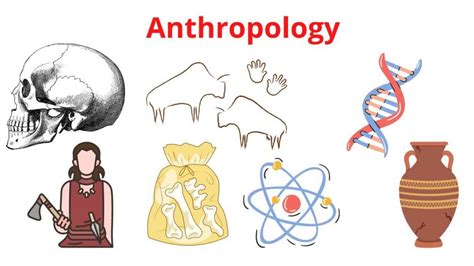 anthropology definition  overview research method