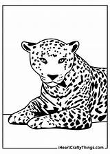 Jaguars Iheartcraftythings sketch template