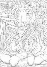 Coloring Adult Printable Pages Tigers Kids Sheets Adults Book Etsy Designs Favoreads Animal Color Mandala Colorier Coloriage Print Numbers Colouring sketch template