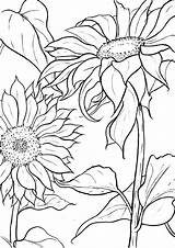 Coloring Sunflower Pages Adult Sheets Mandala Flower Printable Drawing Books Colouring Color Fabric Choose Board Painting sketch template