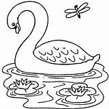 Colorare Lago Bambini Cigno Disegni Swan sketch template