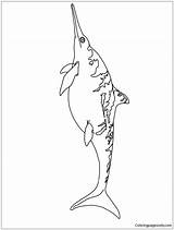 Ichthyosaurus Pages Coloring Dinosaur Color Dinosaurs Coloringpagesonly sketch template